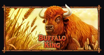 Buffalo King